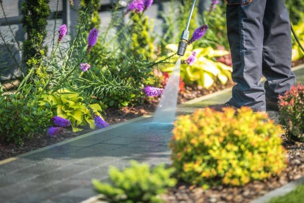 Swift Trail Junction, AZ Pressure Washing Services Company