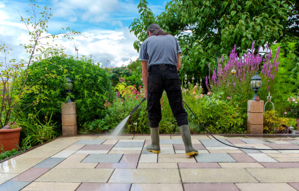 Best Roof Cleaning and Mildew Removal in Swift Trail Junction, AZ